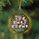 Personalized Xmas Cat Custom Names Christmas Gift Acrylic Ornament Printed PTN23753