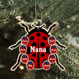 Personalized Grandma Bugs & Kid Custom Name Wooden Ornament Printed KVH231227