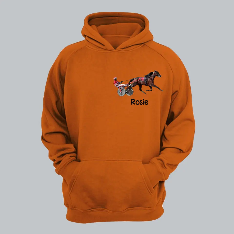 Personalized Upload Your Photo Harness Racing Hoodie 2D Printed KVH231420