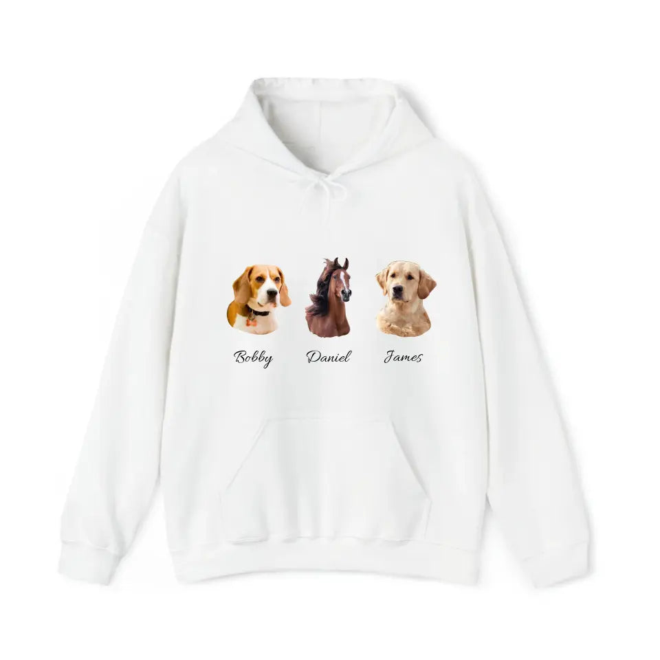 Personalized Upload Your Pet Photo Dog Lovers Horse Lovers Gift Hoodie 2D Printed LVA231500