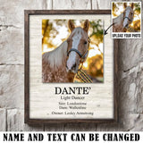 Personalized Upload Your Horse Photo Horse Name & Owner Poster Printed LVA24566