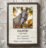 Personalized Upload Your Horse Photo Horse Name & Owner Poster Printed LVA24566