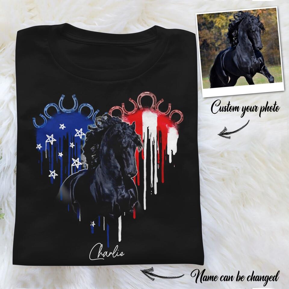 DH Personalized Friesian Horse Tshirt Printed DT1006