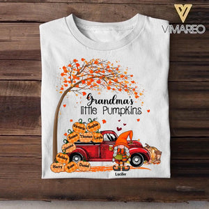 Personalized Grandma Nana Little Pumpkins Tshirt Printed QTMA2608