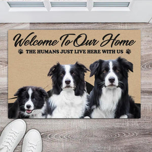 Personalized Upload Your Dog Photo Welcome To Our Home The Human Just Live Here  Doormat Printed PNHQ2802