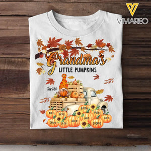 Personalized Fall Season Grandma Little Pumpkins Gnome & Kid Names T-shirt Printed HTHHN1107