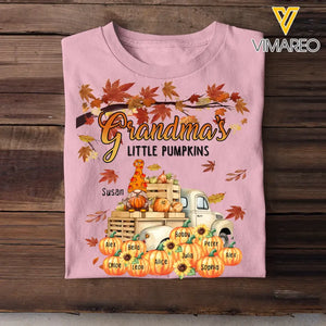 Personalized Fall Season Grandma Little Pumpkins Gnome & Kid Names T-shirt Printed HTHHN1107