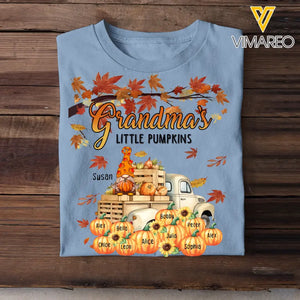 Personalized Fall Season Grandma Little Pumpkins Gnome & Kid Names T-shirt Printed HTHHN1107