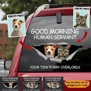 Personalized Good Morning Human Servant Your Tiny Over Lords Dog Lover Cat Lover Car Decal Printed QTKH202379