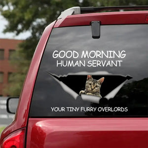 Personalized Good Morning Human Servant Your Tiny Over Lords Dog Lover Cat Lover Car Decal Printed QTKH202379