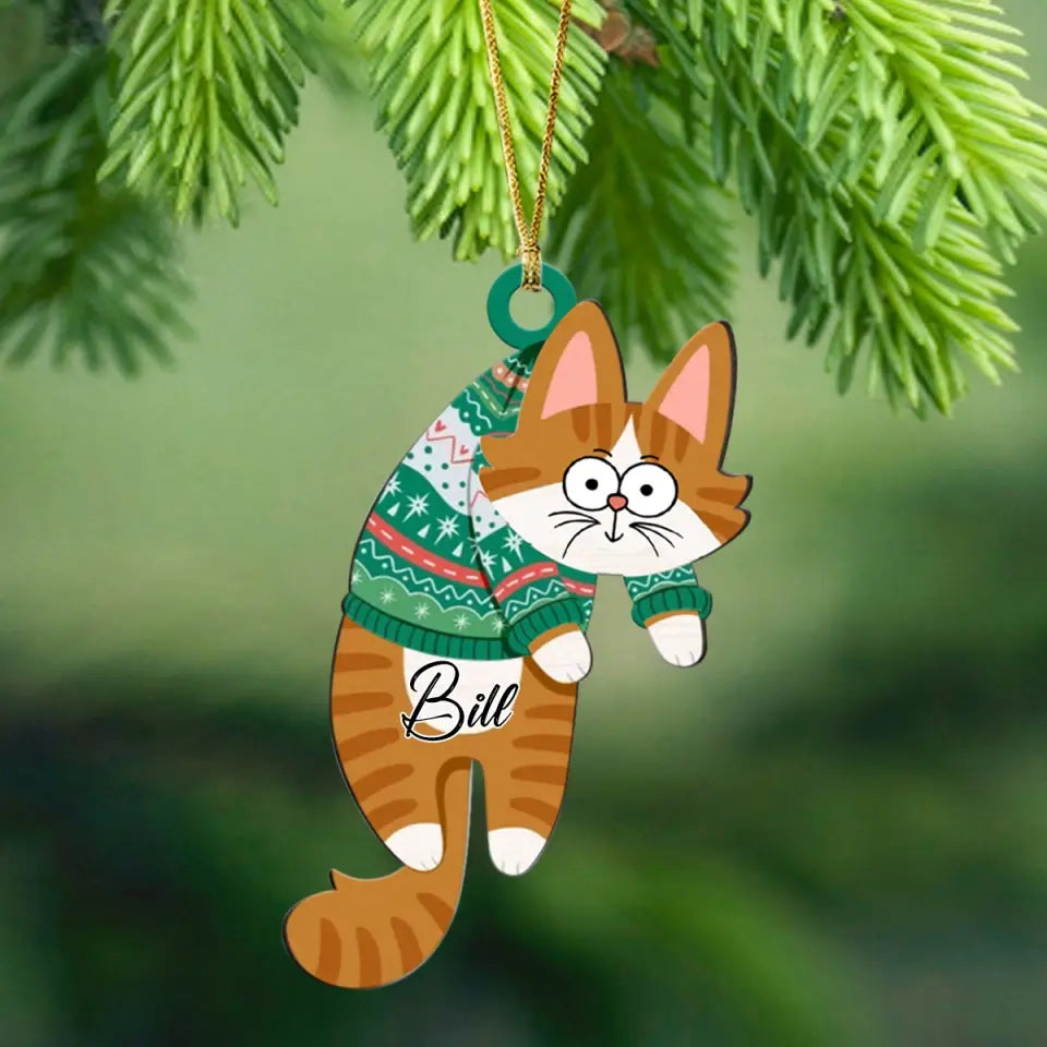 Personalized Cat Hanging Christmas Ornament Funny Cats For Cat Lovers 23616