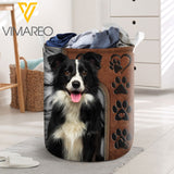 Border Collie Dog YWIE