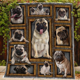 Pug Dog BM1D